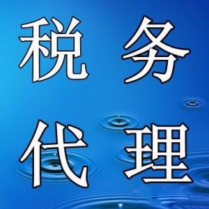 無(wú)錫新區(qū)代理記賬 稅務(wù)代理